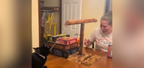 Woman in Shock As Cat Beats Her in a Board Game: ‘Skilled’