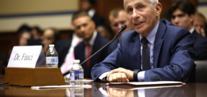 MAGA Blasts Republicans Amid Fauci House Hearings