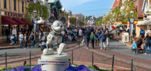 Disneyland Employee Dies in Theme Park Accident