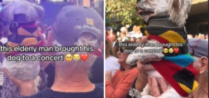 Concert Goer Captures Precious Moment Elderly Man Holds His Dog up To See