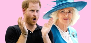 Prince Harry’s Queen Camilla Comment Goes Viral