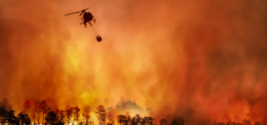 ‘Explosive’ Fire Tornado Seen in Terrifying California Wildfire Footage