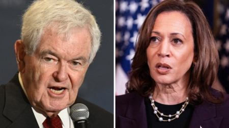 Kamala Harris May Be ‘Shockingly Better’ Than Expected, Newt Gingrich Says