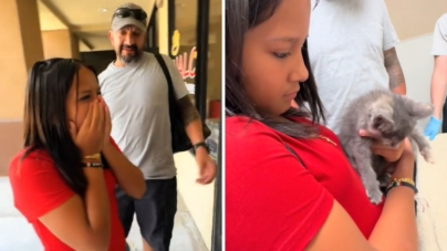 Little Girl’s Reaction as Parents Give In, Finally Let Her Adopt a Cat