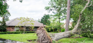 Woman Loses Home in Hurricane Beryl After ‘Heartbreaking’ Insurance Issues