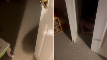 Mom Can’t See Toddler on Baby Monitor, Unprepared for Where She Finds Her
