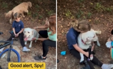 Watch Little Girl’s Medical Alert Dog Rush to Warn Mom She’s ‘in Danger’