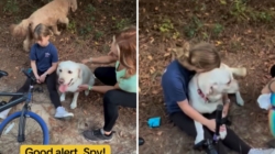 Watch Little Girl’s Medical Alert Dog Rush to Warn Mom She’s ‘in Danger’