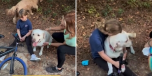 Watch Little Girl’s Medical Alert Dog Rush to Warn Mom She’s ‘in Danger’