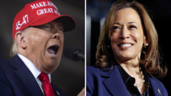 Kamala Harris’ Chances of Winning Wisconsin, New Polls Show