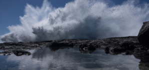 Hawaii Swimmers Warned About Going in Water as Waves Reach Up to 14 Feet