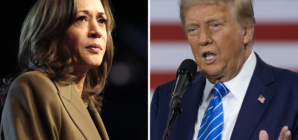 Map Shows States Kamala Harris, Donald Trump Lead Polls 5 Weeks to Election