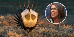 Lauren Boebert Slams Biden for Wanting to Use Land to Protect ‘Ugly’ Animal