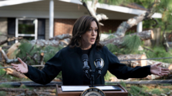 Kamala Harris Beats Donald Trump on Disaster Response: New Polling