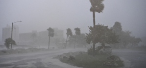 Woman Faces Backlash For Leaving Horse Behind During Hurricane Milton