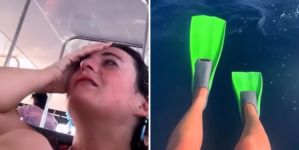 Snorkeler Channels Steve Irwin in Dream Encounter With Ocean Creatures