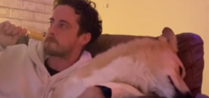 Rescue Dog Has Most Dramatic Reaction If Owner Doesn’t Share Food: ‘Dying’