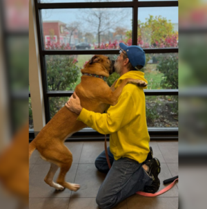 Dog Owner Surrenders Pet During Cancer, 750 Days Later Finds Her at Shelter