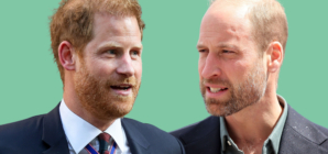 What Prince Harry Said About William Writing a Book One Day