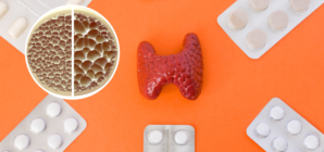 Thyroid Medication and Bone Loss: Everything You Need To Know