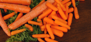 Vegetable Recall Update As FDA Issues Most Serious Concern Level