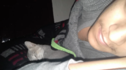 Man Wakes Up to Find Cat Cuddling Him in Bed—But There’s a Problem