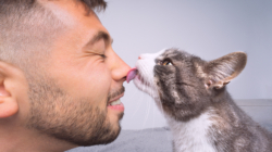 What Happens if You Stop Your Cat From Licking You? Vets Weigh In