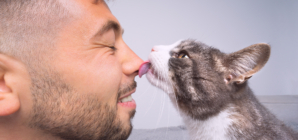 What Happens if You Stop Your Cat From Licking You? Vets Weigh In