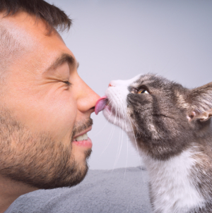 What Happens if You Stop Your Cat From Licking You? Vets Weigh In