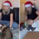 Woman Shows Reality of Wrapping Christmas Presents When You Have a Cat