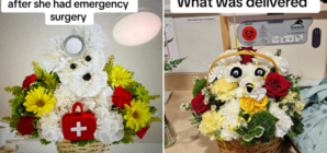 Woman Orders Flowers for Sister in Hospital—Hysterics Over What Arrives