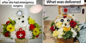 Woman Orders Flowers for Sister in Hospital—Hysterics Over What Arrives