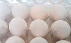 Eggs Recall Update as FDA Sets Highest Risk Level