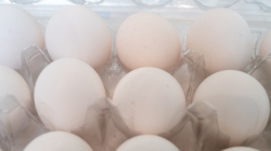 Eggs Recall Update as FDA Sets Highest Risk Level