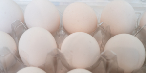 Eggs Recall Update as FDA Sets Highest Risk Level