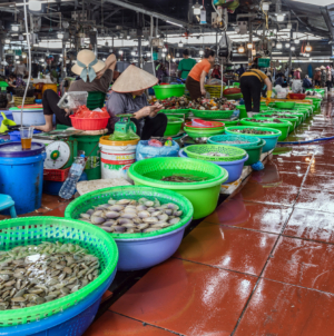 Century-Old Fish Mystery Solved With Market Find in Vietnam