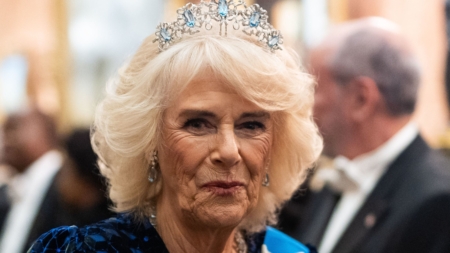 Queen Camilla Health Update Is Blow for King Charles