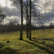 Cemetery for People Enslaved by Andrew Jackson Found on His Plantation