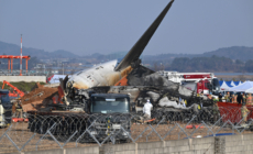 Did Bird Strike Cause South Korea Plane Crash? Experts Raise Questions