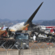 Did Bird Strike Cause South Korea Plane Crash? Experts Raise Questions