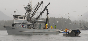 Coast Guard Suspends Search for Missing Crew of Capsized Boat in Alaska