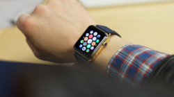 Is Your Apple Watch Safe To Wear? Plastic Chemicals in Products Explained