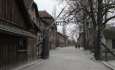 Survivors Mark Auschwitz 80th Liberation Anniversary