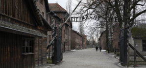 Survivors Mark Auschwitz 80th Liberation Anniversary