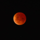 Blood Moon: When and How To See the Lunar Eclipse