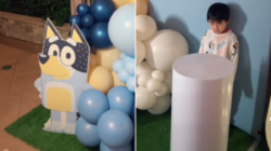 Woman Throws Nephew ‘Bluey’ Birthday Party, Then Realizes Her Mistake