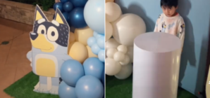 Woman Throws Nephew ‘Bluey’ Birthday Party, Then Realizes Her Mistake