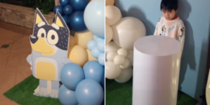 Woman Throws Nephew ‘Bluey’ Birthday Party, Then Realizes Her Mistake