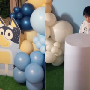 Woman Throws Nephew ‘Bluey’ Birthday Party, Then Realizes Her Mistake