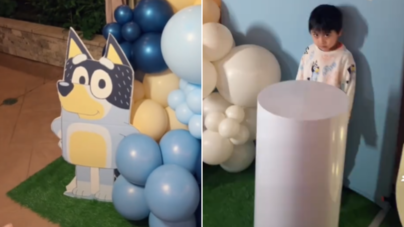 Woman Throws Nephew ‘Bluey’ Birthday Party, Then Realizes Her Mistake